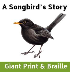 A  Songbird's Story